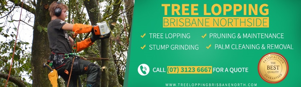 Tree removal Services in Brisbane 